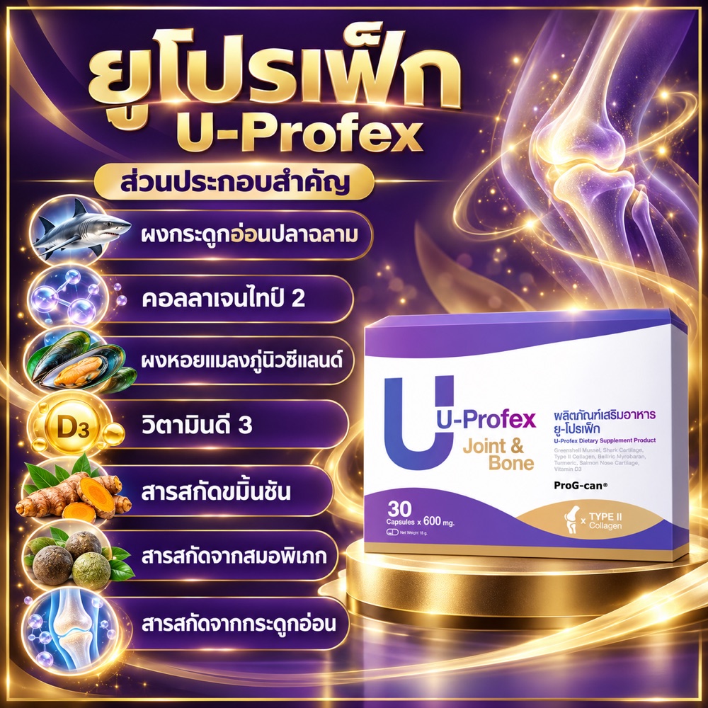 โปสเตอร์ส่วนประกอบสำคัญ U-Profex ยูโปรเฟ็ก